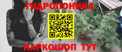 сатива Донской