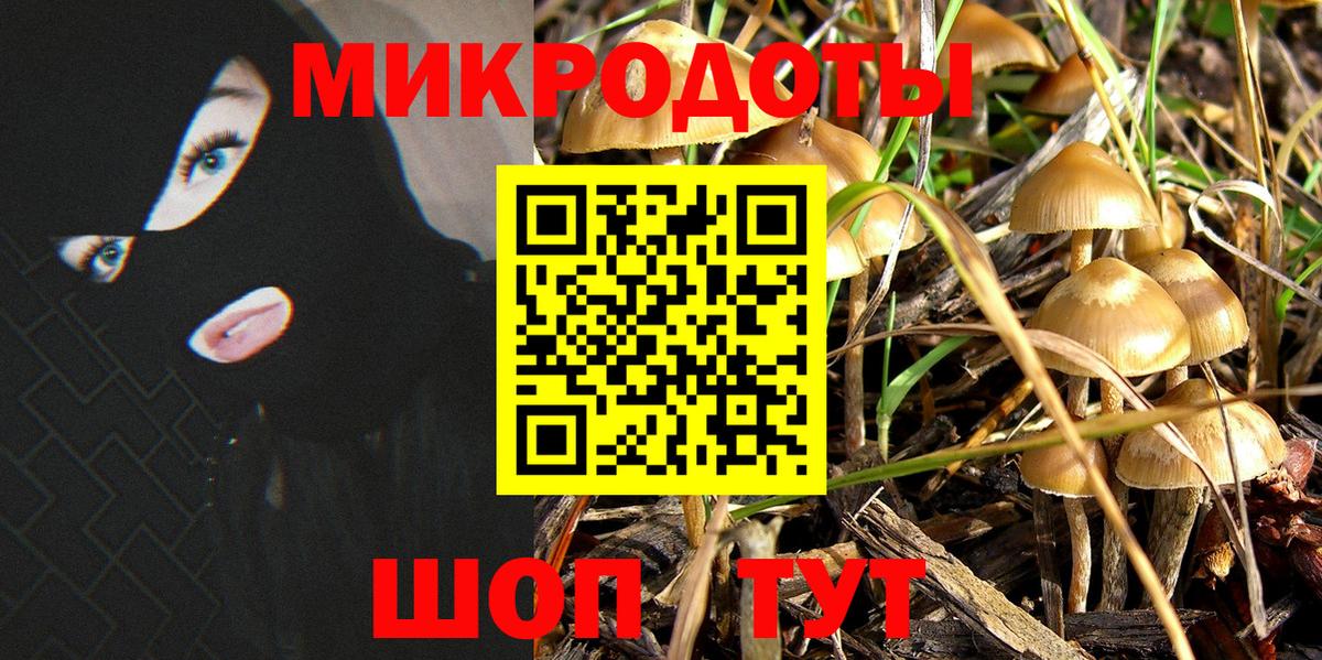 Псилоцибиновые грибы MAGIC MUSHROOMS  Вход с VPN  Лыткарино 